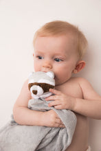 Load image into Gallery viewer, Angel Dear Raccoon Lovey