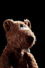 Load image into Gallery viewer, Sigikid Plush Beast - River Rafter