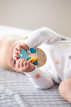 Load image into Gallery viewer, Haba - Rattle fish Wooden Clutching Toy with Plastic Rings