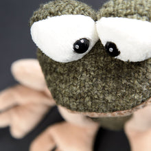Load image into Gallery viewer, Sigikid Plush Beast - I Was Frog
